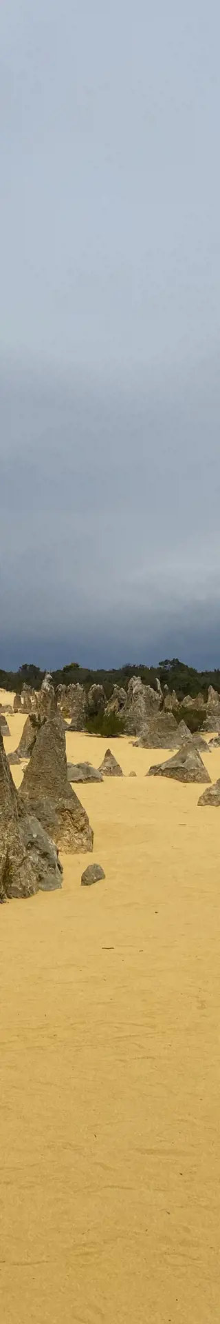The Pinnacles – beeindruckende Säulenformationen